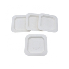 Composable Sugercane Square Plate Disposable Bagasse Dinnerware