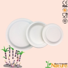 Biodegradable disposable sugarcane plate