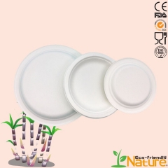 Assiette en canne à sucre jetable biodégradable