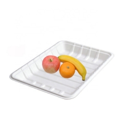 Biodegradable Disposable Meat Tray Bagasse Grocery Trays for Supermarket