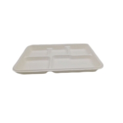 Biodegradable disposable 5 compartments lunch tray dinner plate for restaurant
