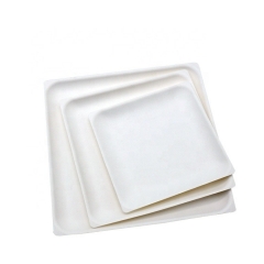 Biodegradable Square Plate Disposable Sugarcane Bagasse Fruits Plate