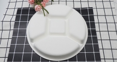 Biodegradable Lunch plate 10 inch 5-compartment sugarcane round plates