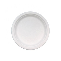 Biodegradable Plate Sugarcane Disposable Bagasse Plates For Camping