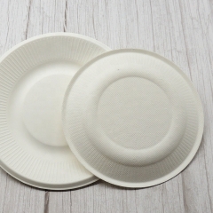 Assiette d'utilisation de fête de plat rond jetable biodégradable