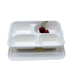 Biodegradable Sugarcane 4 Compartment Food Bagasse Tray with Lid