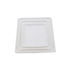 Placa de bagaço quadrado branco de cana-de-açúcar descartável compostável