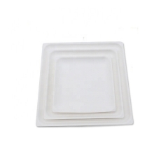 Assiette de bagasse carrée blanche de canne à sucre jetable compostable