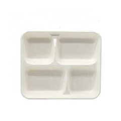 Biodegradable Disposable Paper Packaging Bagasse Pulp Tray for Food