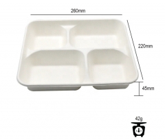 Biodegradable Disposable Paper Packaging Bagasse Pulp Tray for Food