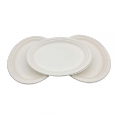 Biodegradable recycle plate Sugarcane oval pulp plates heavy weight