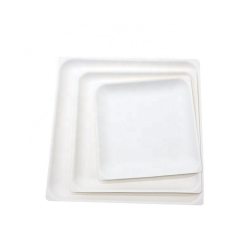 Placa disponible biodegradable del bagazo de la caña de azúcar de la placa cuadrada para la fruta