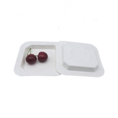 Biodegradable Disposable Square Sugarcane Bagasse Plate For Dessert