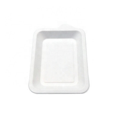 Biodegradable Exquisite Sugarcane Mini Plate Bagasse Biodegradable Chocolate Tray