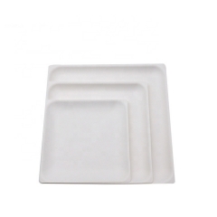 Plat jetable de bagasse de canne à sucre de plat carré biodégradable pour le fruit