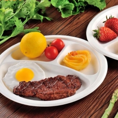 3 Compartment Eco-friendly 9 Inch Biodegradable Bagasse Sugarcane Plate