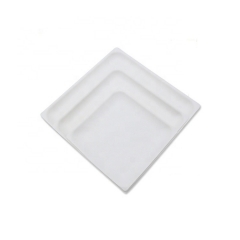 Assiettes carrées en bagasse jetables biodégradables pour le dîner