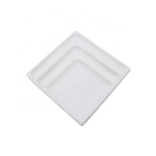 Biodegradable Disposable Bagasse Square Plates for Dinner