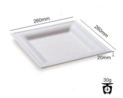 Biodegradable Compostable Material Plate Party Bagasse Plates mold