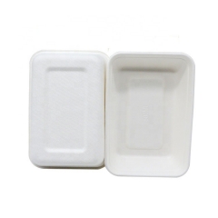 Biodegradable Disposable Tray Bagasse Food Tray for Fruit and Meal