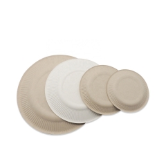 Bagasse Biodegradable Compostable Sugarcane Eco-friendly Round Plates