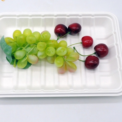 Biodegradable Disposable Meat Tray Bagasse Grocery Trays for Supermarket