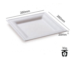 Compostable Disposable Plates Eco Friendly Sugarcane Plate
