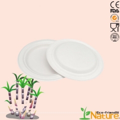 Biodegradable disposable sugarcane plate