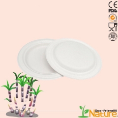 Assiette en canne à sucre jetable biodégradable