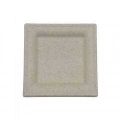 Disposable biodegradable eco sugarcane bagasse party plates square plates 10 inch