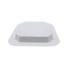 Composable Sugercane Square Plate Disposable Bagasse Dinnerware