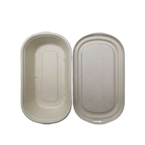 Biodegradable Bagasse Box Disposable Tray Sugarcane Food Container