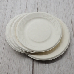 Assiette d'utilisation de fête de plat rond jetable biodégradable