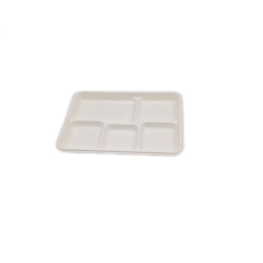 Biodegradable disposable 5 compartments lunch tray dinner plate for restaurant