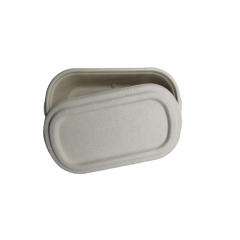 Biodegradable Bagasse Box Disposable Tray Sugarcane Food Container