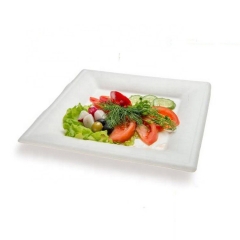 Biodegradable Compostable Material Plate Party Bagasse Plates mold