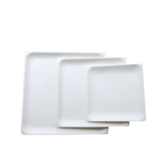 Biodegradable Square Plate Disposable Sugarcane Bagasse Fruits Plate