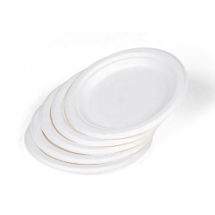 6inch Biodegradable Disposable Bagasse Pulp Sugarcane Plates