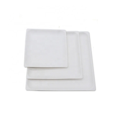 Compostable Disposable Sugarcane White Square Bagasse Plate