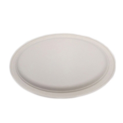 Disposable bagasse plates Decomposable sugarcane oval Plates Eco-friendly