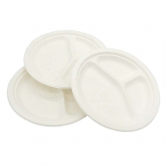 3-Compartment Plates Bagasse Plate Sugarcane For Lunch