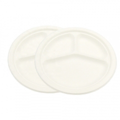 Disposable Biodegradable Compostable Sugarcane Compartment Plate