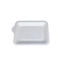 Biodegradable Exquisite Sugarcane Mini Plate Bagasse Biodegradable Chocolate Tray