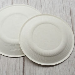 Assiette d'utilisation de fête de plat rond jetable biodégradable