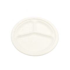 3-Compartment Plates Bagasse Plate Sugarcane For Lunch