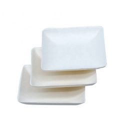 disposable bagasse biscuits tray