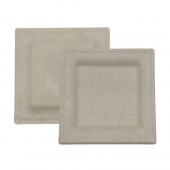 Best selling products biodegradable disposable sugarcane square plate