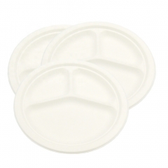 Vaisselle en bagasse biodégradable jetable assiettes rondes