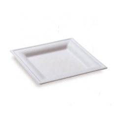 Compostable Disposable Plates Eco Friendly Sugarcane Plate