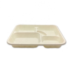 4/5 compartment Biodegradable Disposable compostal Tray for food